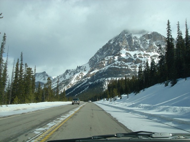 [Alberta1[3].jpg]