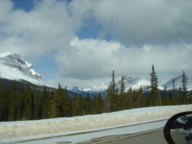 [Alberta2[3].jpg]