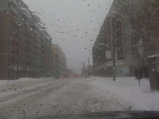[Snowstorm2[3].jpg]