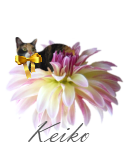[livestrong-keiko[5].png]