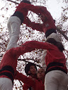 http://lh6.ggpht.com/_PKO_RoJQEZ0/S30RDcT_IJI/AAAAAAAABA4/rNpxcbOSIIQ/P1230161.JPG