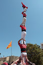 http://lh6.ggpht.com/_PKO_RoJQEZ0/S_0Xv27xtsI/AAAAAAAACxs/vEw2HamT0tQ/P1040354.JPG