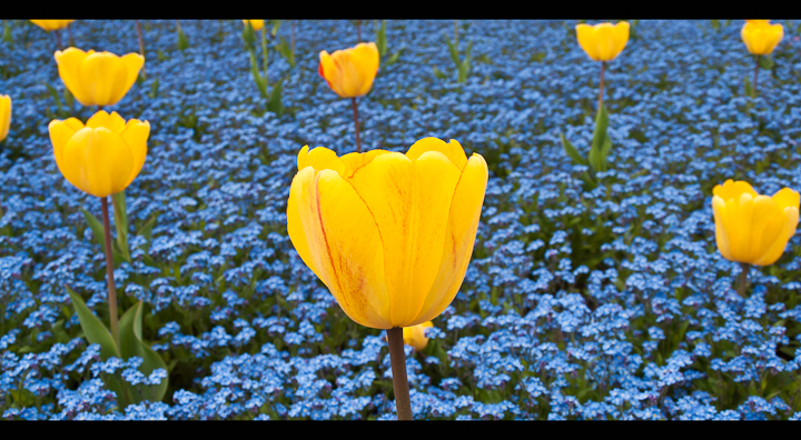 P4240981-Edit.jpg