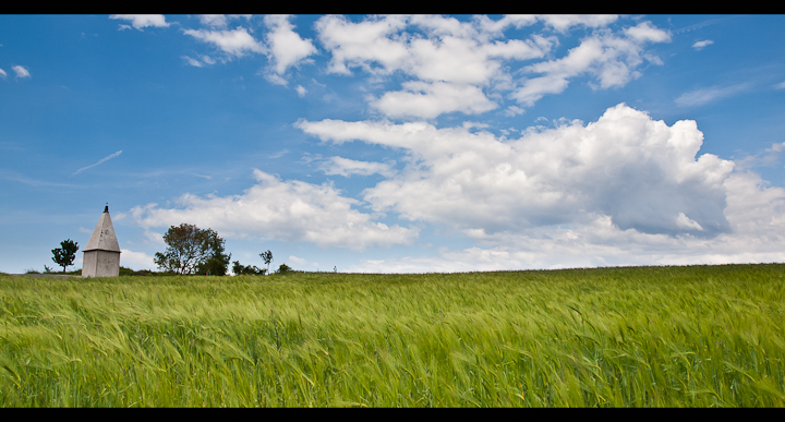 P5222143-Edit.jpg