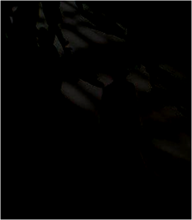 [image[39].png]