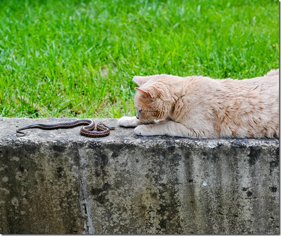 DSC_4632 DSC_4632