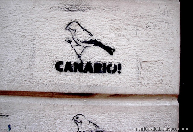 [Canario[9].jpg]