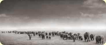 África 3 África 3