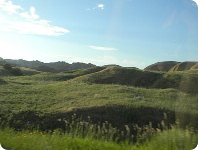 DSCN0313 DSCN0313