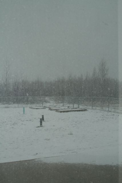 mn2.jpg