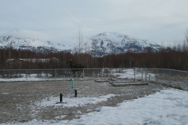 mn1.jpg