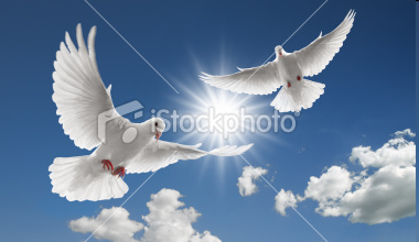 [image[4].png]