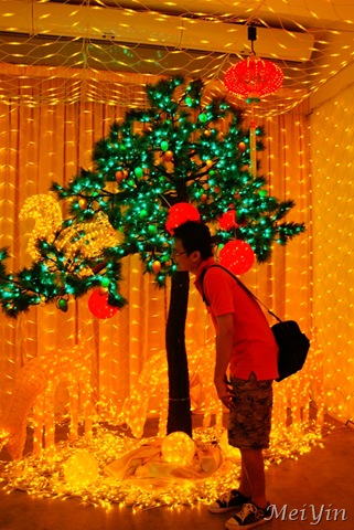 [DSC08726[11].jpg]
