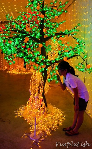 [DSC08693[10].jpg]