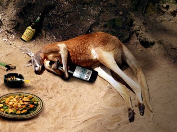 Funny-Kangaroo-Photoshop-mrm-m2m-450x337