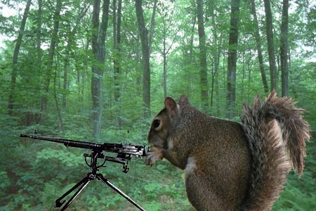 [squirrel-with-gun[5].jpg]