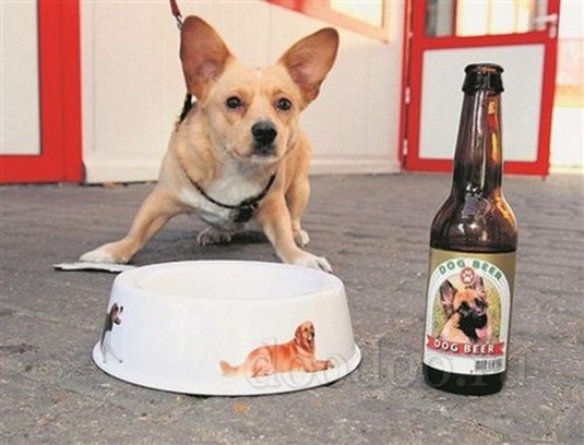 beer-for-dogs02