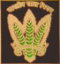 food corporation of india jobs,jobs in fci,fci recruitment 2010,food corporation of india latest jobs,fci 2010 jobs
