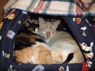 Kika e Micho. Juntinhos. Quentinhos, aconchegados.