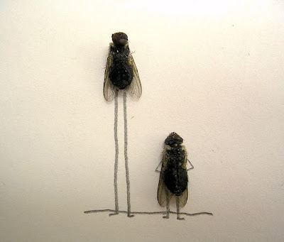 Mosca Alta Mosca Alta
