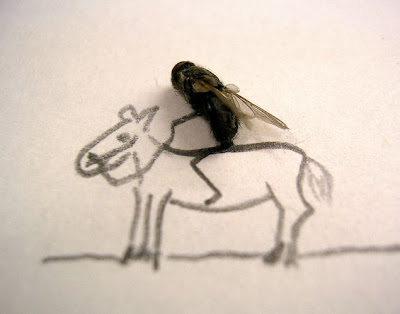 Mosca a andar a cavalo Mosca a andar a cavalo