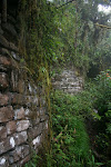 Round buildings are the style of the Chachapoyas, Perquilla, Gran Vilaya Trek, Chachapoyas Region, Peru