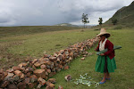 Cutting agave for her cows. This plant gets rid of parasites in the digestive tract. Qhapac ñan trek, Peru