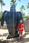 Praia do Forte 066.JPG