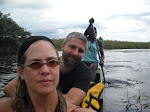 Into the open river, clear but brown with organic acids, the Marimbus, Chapada Diamantina, Brazil