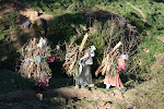 On the road from Tabarka to Ain Draham, Tunisia