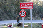 On the road from Tabarka to Ain Draham, Tunisia