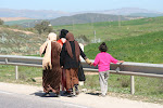 On the road from Tunis to Beja, Tunisia