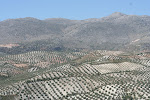 Andalucia, Spain
