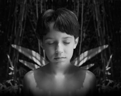 Billy as Pixie, by Dan Biferie