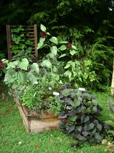 Aska Lodge Chocolate Garden