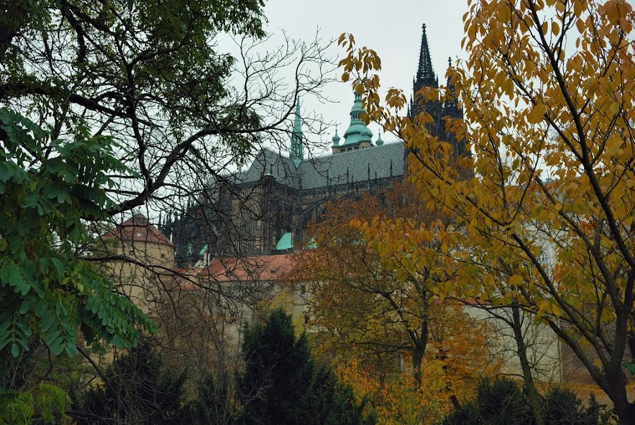 100_3618.jpg
