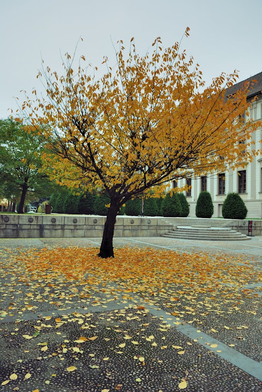 100_3631.jpg