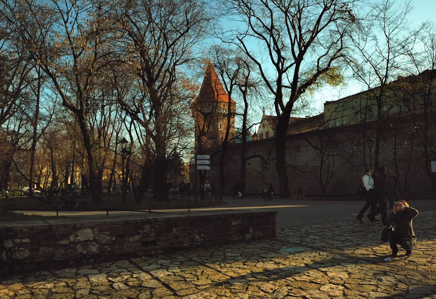 DSC_4436.jpg
