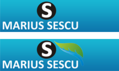 Logo nou pentru blog frunza logo Romania
