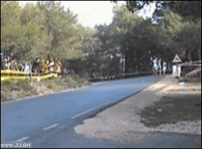 [treeprotection[2].gif]