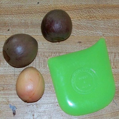 [avacado 1[4].jpg]