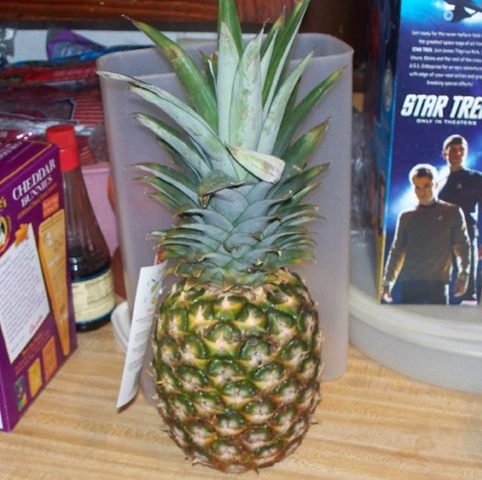 [pineapple 1[4].jpg]