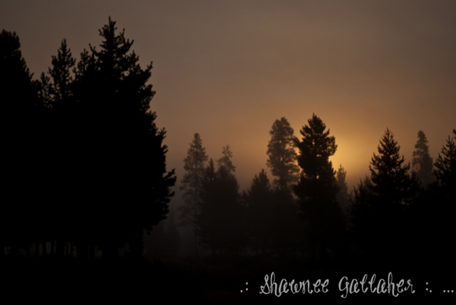[Sunrise AND Fog[3].jpg]