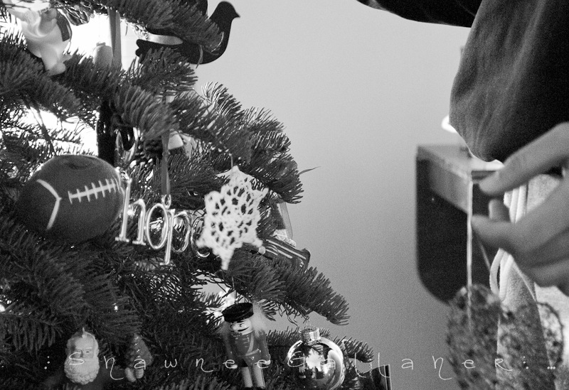 [tree decorating.2[4].jpg]