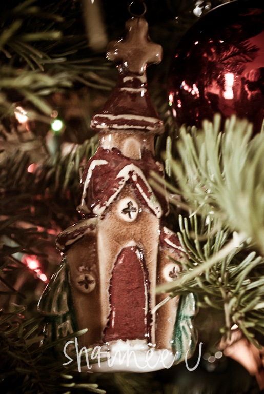 [ornaments.3[4].jpg]
