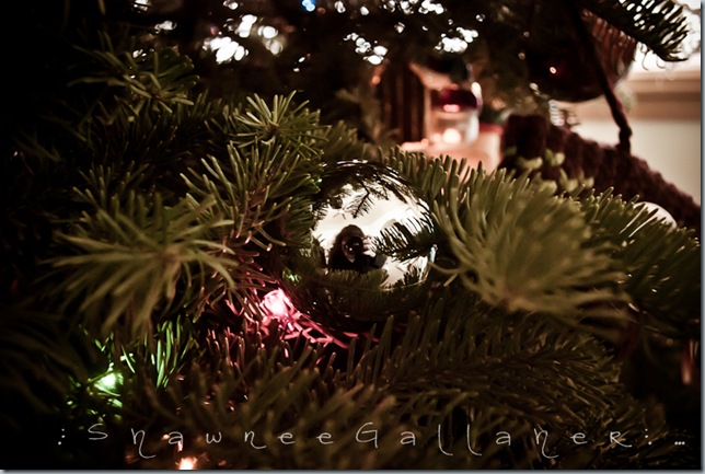 ornaments.1