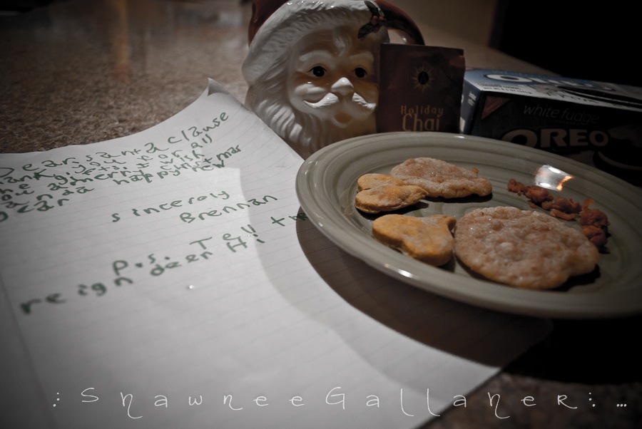 [santa's cookies[4].jpg]