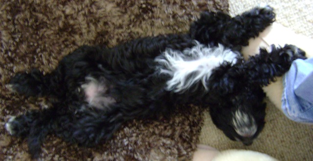[day 2 sleeping[4].jpg]