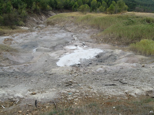 [IMG_00203.jpg]