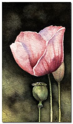 watercolour floral painting